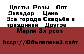 Цветы. Розы.  Опт.  Эквадор. › Цена ­ 50 - Все города Свадьба и праздники » Другое   . Марий Эл респ.